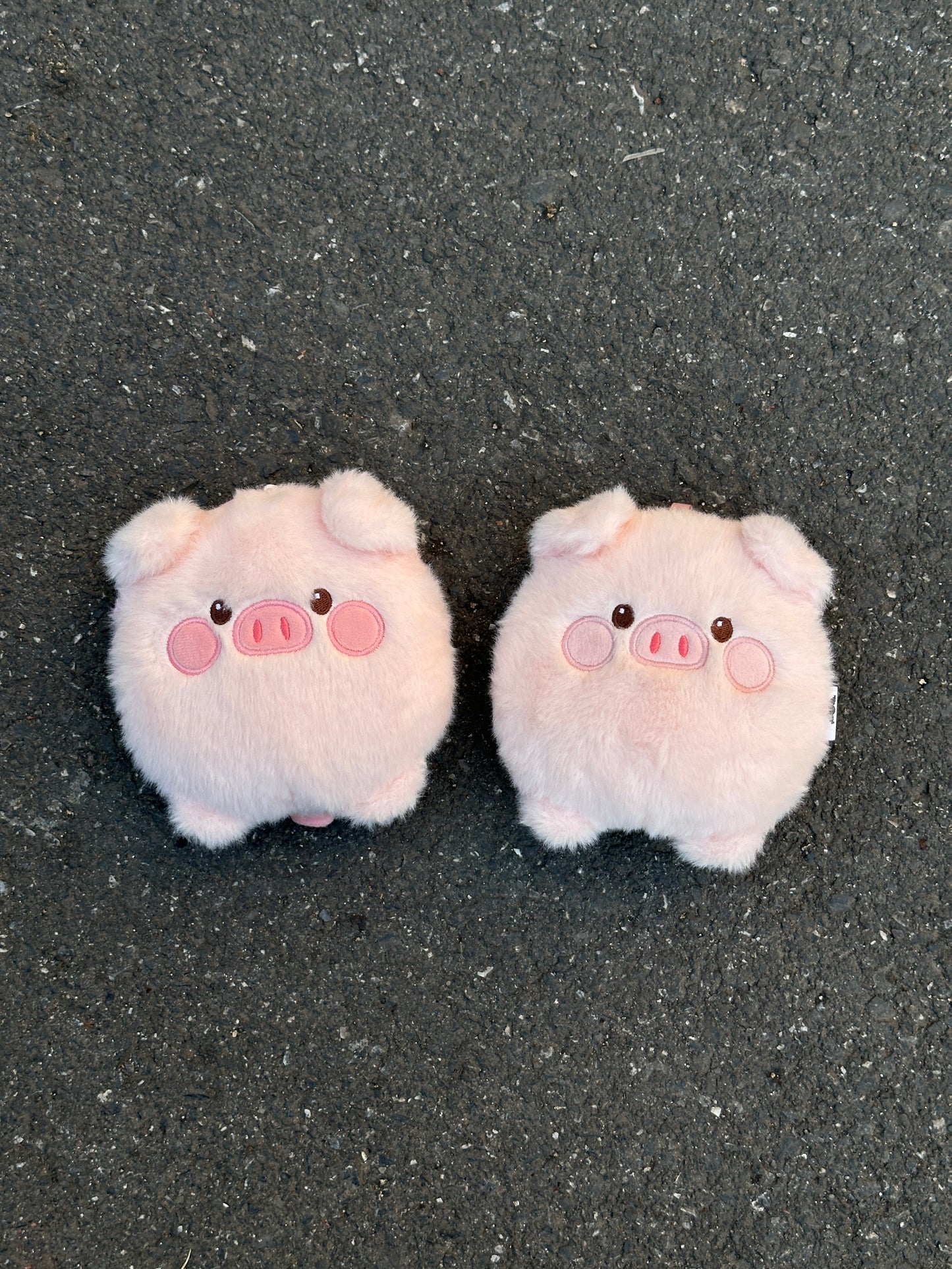 Dax Love™ Plush Pig Coin Purse