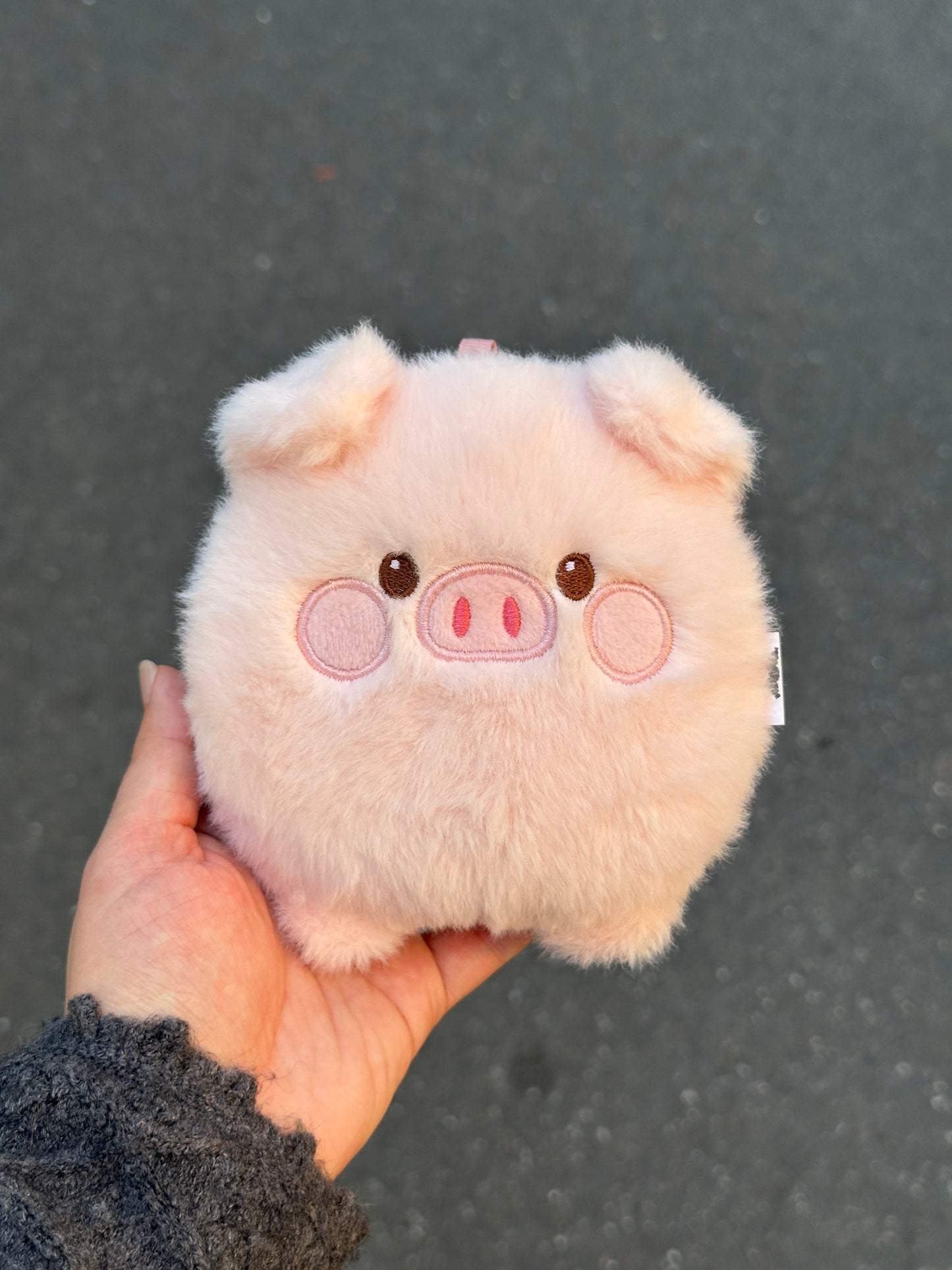 Dax Love™ Plush Pig Coin Purse